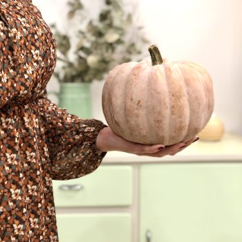 “La zucca” dalla rubrica InformaBio su Amazing Puglia, il magazine delle eccellenze pugliese